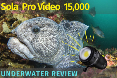 Light & Motion Sola 15,000 Pro Video Light Underwater Review by Bluewater Photo