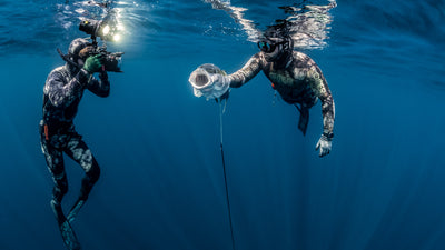 Spearfishing in Baja by Dan Silveira