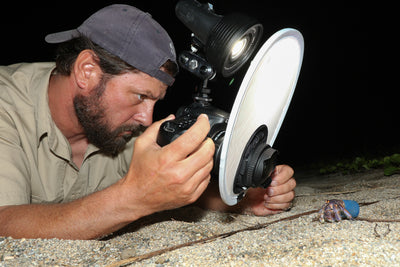 Shawn Miller