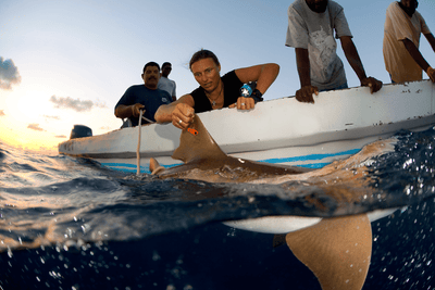 Dr. Rachel Graham and the Belize Shark Project