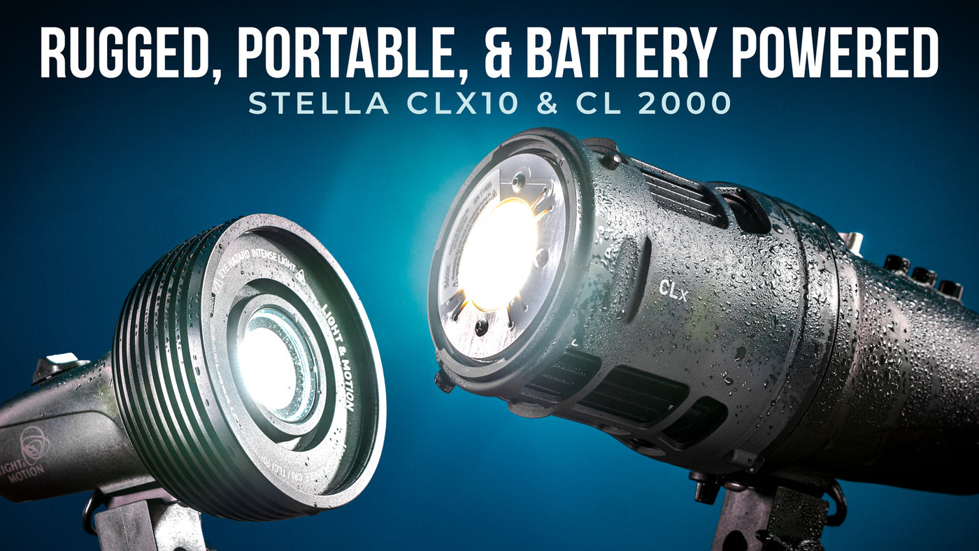 StellaPro CLx10 & CL 2000 LED Light Review (Rugged, Portable, & Battery Powered)