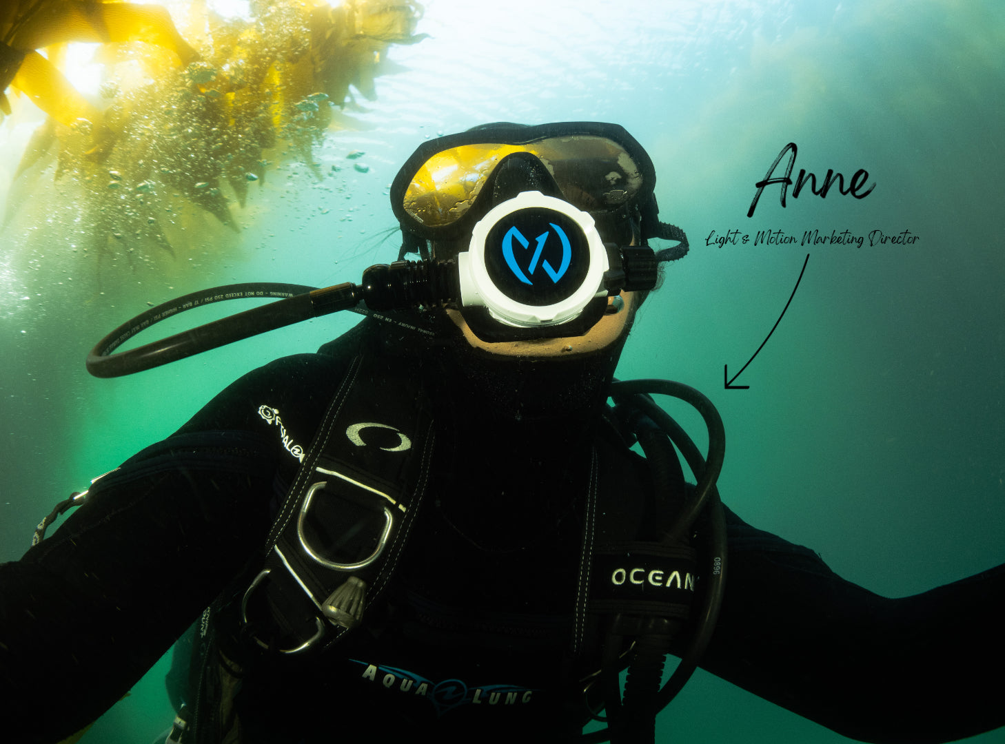 Essential Bundle from Nex Underwater Products